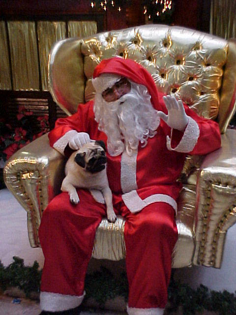 Bill com Papai Noel